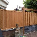 Schuttingen om tuin van Douglas hout  werk Volendam